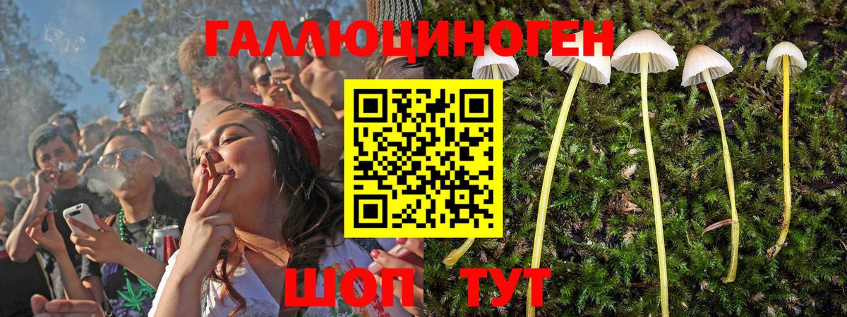 купить  сайты  Вход с VPN  Долгопрудный  Псилоцибиновые грибы Psilocybine cubensis 
