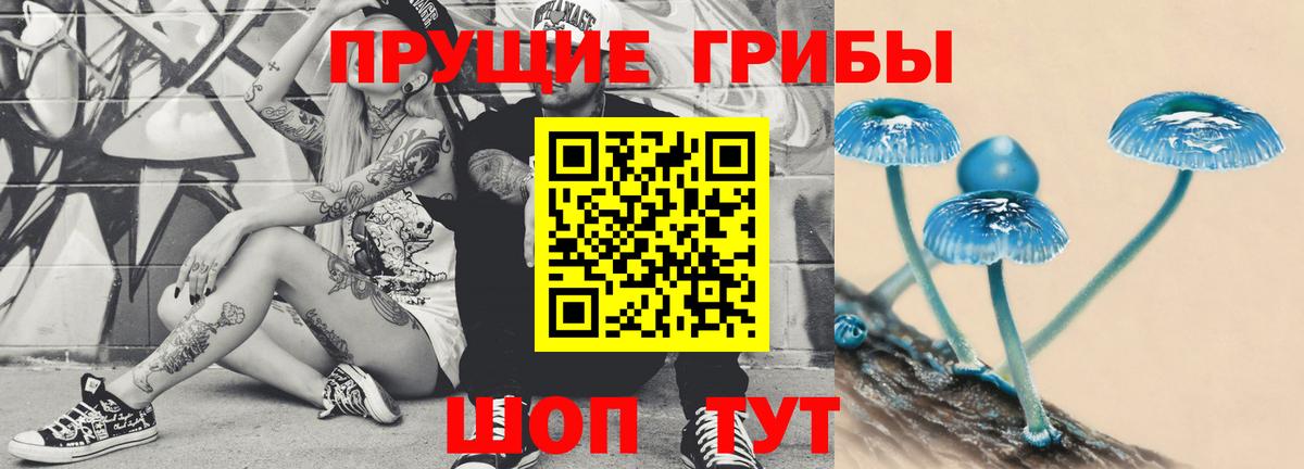 Псилоцибиновые грибы мухоморы Долгопрудный